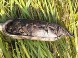 Environnement Concarneau